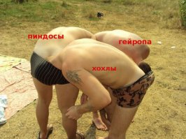 Подборка идиотских фотографий