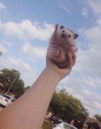 Весна - это здорово! Это когда просыпается душа после спячки, а за ней и все тело)))