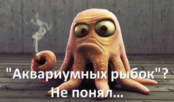 Невероятно объемные картины аквариумных рыбок японского художника Riusuke Fukahori