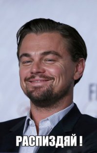 Леонардо Ди Каприо поблагодарил фанатов за поддержку