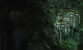 "Светящийся гриб"