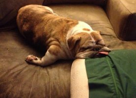 Постельные фото знаменитостей