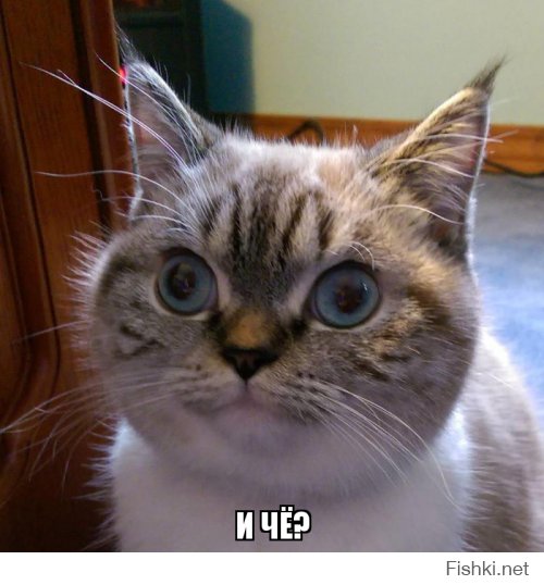 В детстве Роальд Даль и несколько других школьников были отобраны компанией C...