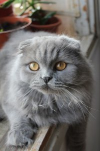 непорядок,меня еще не поздравили