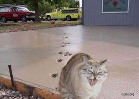 Мужчина каждый день проходит 30 километров, чтобы создать эти великолепные картины на снегу