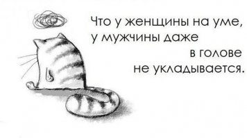 20 шуток о мужчинах и женщинах