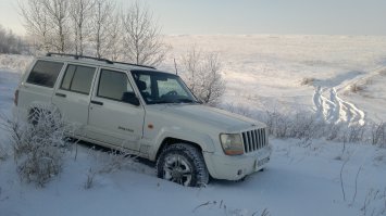 мой красавец :)