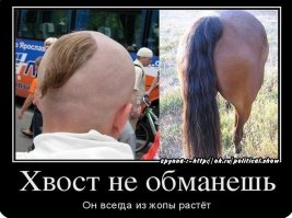 День памяти 6-ой роты, 104 полка, 2-го батальона, 76-ой (Псковской) ВДД. На высоте "776"  
