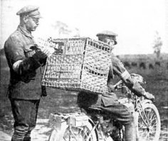 К последней. 

Связь - наше все!!! 

Мы, связисты, за связь без брака! :)

Исторические фотки: (первая - не наши)