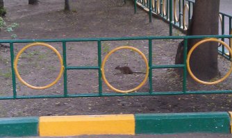 Ага, вот как еще заснял: :)