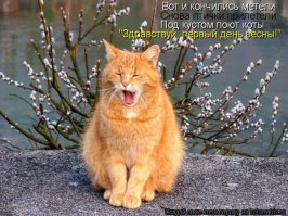 Весна... :)  На всех действует. :)