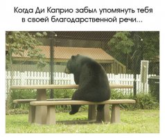 Леонардо Ди Каприо поблагодарил фанатов за поддержку