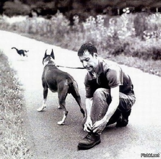 Из солянки от 01.03.2016