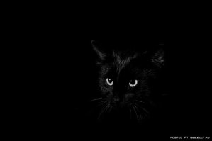 Это называется "Когда инженерам делать некуй".   Но котика в коробке я  взял бы. Глазки ему злее следовало сделать.