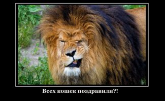 1 марта 2016 День кошек в России! 