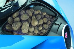 А выдержит?