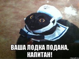 Пользователей сети повеселил снимок обратной стороны матраса одинокой девушки