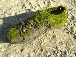 А вот обувка к жилетику...