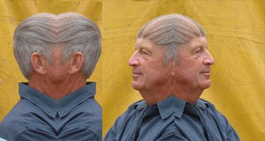 ну да. а если взять фотки не анфас, а профиль, получится ещё чуднее.