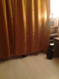 И ещё одного в коллекцию добавьте)