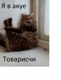 Не забывайте о водных процедурах!