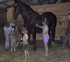 Вот от меня. Жеребятам 2 дня. И они - двойняшки