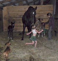 Вот от меня. Жеребятам 2 дня. И они - двойняшки