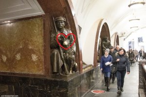 Собаку,любят и часто гладят)))):)