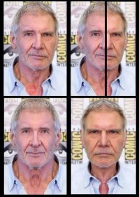 Как бы выглядели звёзды Голливуда, если бы их лица были симметричными