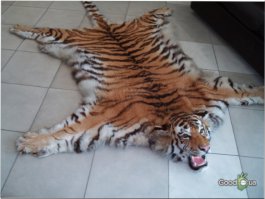  Крадущийся тигр, затаившийся дракон