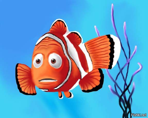 Стеклянный осьминог