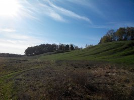 Контрастная ?  Скорее  разная.