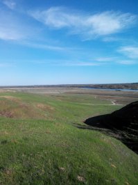 Контрастная ?  Скорее  разная.