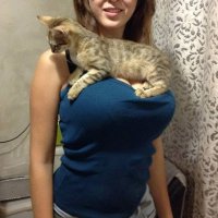 как бы я хотел оказаться тем котенком