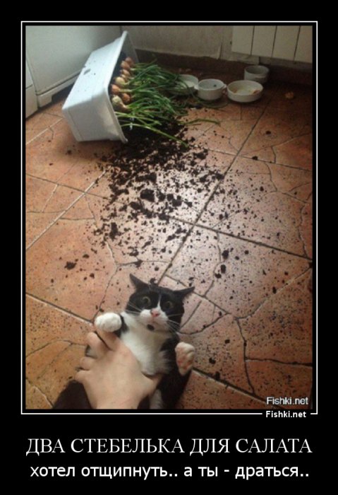 -Хозяин, прости