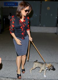 Сосед Сальмы Хайек застрелил ее собаку