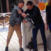 Развлекались с пушкой как с первой картинки на корпоративе. Отдача хорошая, да и выхлоп от баллона с лаком приличный, так что маска может и пригодиться.
Прораб, смастеривший пушку, сначала получил втык от главного инженера за то, что занимается непонятно чем в рабочее время, а потом премию от директора