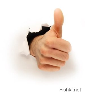 Из солянки от 01.03.2016