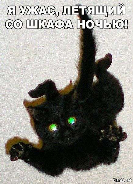 Из солянки от 02.03.2016