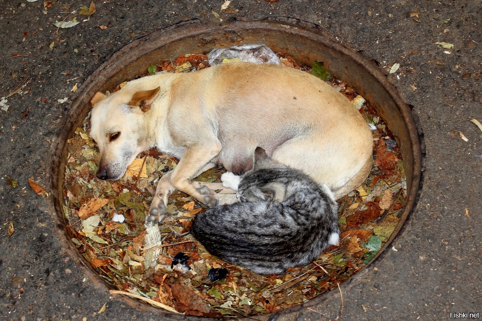 Круг единства