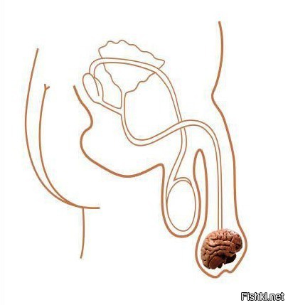 Из солянки от 03.03.2016