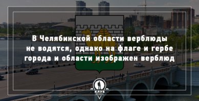 просто челябинские верблюды на столько суровы, что водятся только на гербе