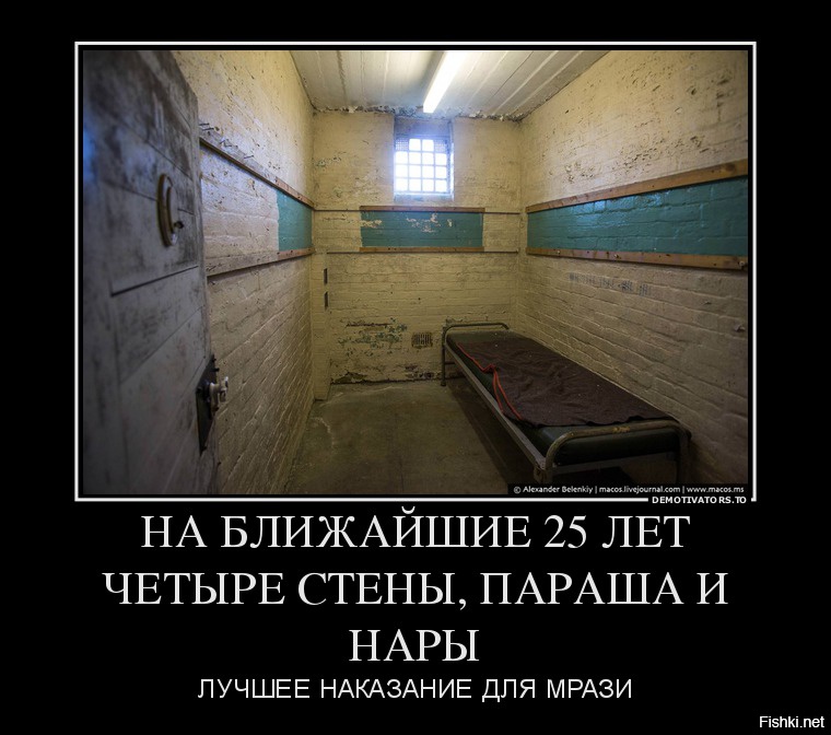 «Няню-убийцу и убийцу журналистов Савченко следует посадить в одну камеру», — мнение
