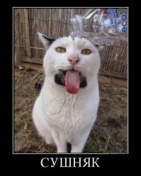 Юмор - это всегда хорошо!