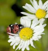 19 проявлений чувств на людях, которые заставят вас возненавидеть любовь 