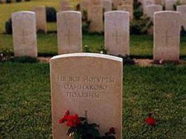 "Этот гриб, который внедряется насекомым в мозг и захватывает их тело"
не все йогурты одинаково полезны..