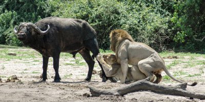 Жрать во время секса, хм...