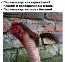 Дамы и господа, объясните мне, пожалуйста - в чем соль шутки? Это какой-то профессиональный парикмахерский юмор?
P.S. Это не сарказм - просто правда хочется понять...