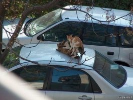 19 проявлений чувств на людях, которые заставят вас возненавидеть любовь 