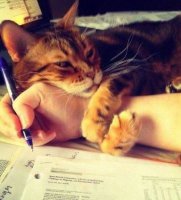 Сейчас как цапнет за руку ... =)